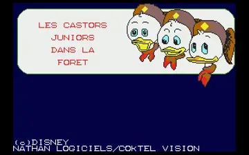 Castors Juniors dans la Foret, Les